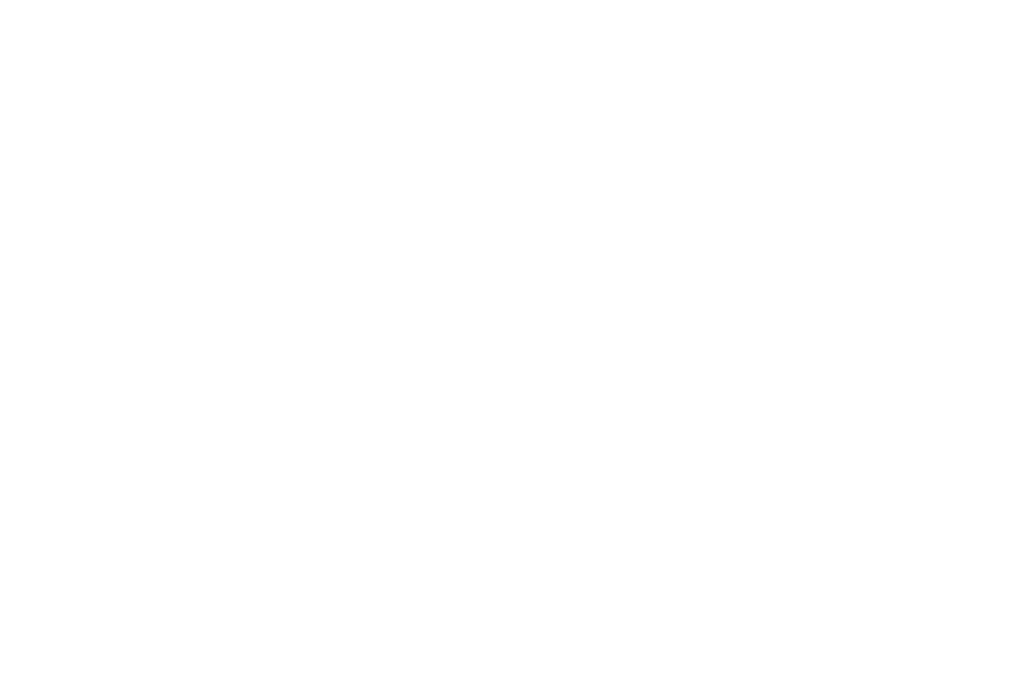 Lions Den Toys and Books